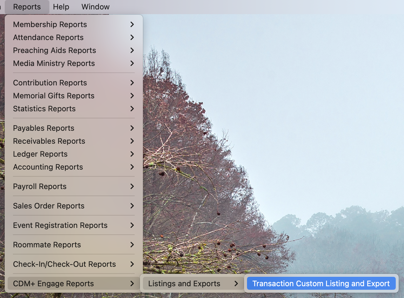 Transaction Custom Listing and Export Menu Item.png